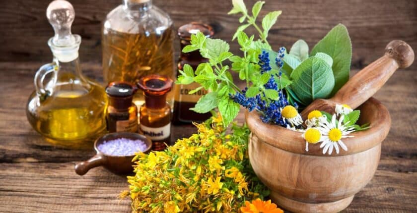 phytotherapie